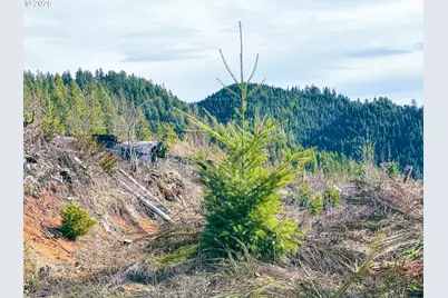 Upper Smith River Rd #TL1500, Reedsport, OR 97467 - Photo 45