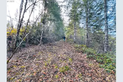 Upper Smith River Rd #TL1500, Reedsport, OR 97467 - Photo 33