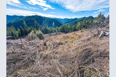 Upper Smith River Rd #TL1500, Reedsport, OR 97467 - Photo 43