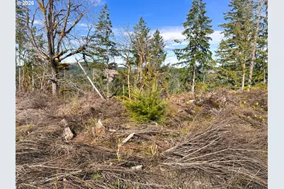 Upper Smith River Rd #TL1500, Reedsport, OR 97467 - Photo 29
