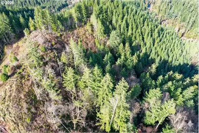 Upper Smith River Rd #TL1500, Reedsport, OR 97467 - Photo 21