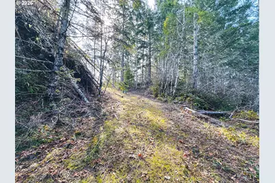 Upper Smith River Rd #TL1500, Reedsport, OR 97467 - Photo 35