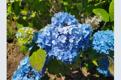 3244 NW Oar Dr, Lincoln City, OR 97367 - Photo 37