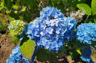 3244 NW Oar Dr, Lincoln City, OR 97367 - Photo 37