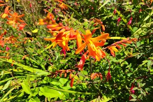 3244 NW Oar Dr, Lincoln City, OR 97367 - Photo 39