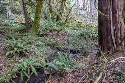 Kenady Lane Lot 401, Cottage Grove, OR 97424 - Photo 19