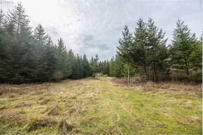 Kenady Lane Lot 401, Cottage Grove, OR 97424 - Photo 37