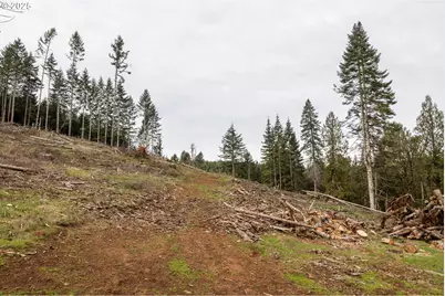 Kenady Lane Lot 401, Cottage Grove, OR 97424 - Photo 21
