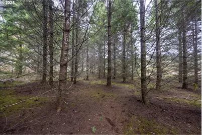 Kenady Lane Lot 401, Cottage Grove, OR 97424 - Photo 7