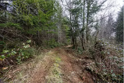 Kenady Lane Lot 401, Cottage Grove, OR 97424 - Photo 31
