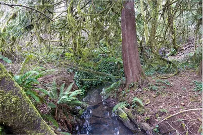 Kenady Lane Lot 401, Cottage Grove, OR 97424 - Photo 3