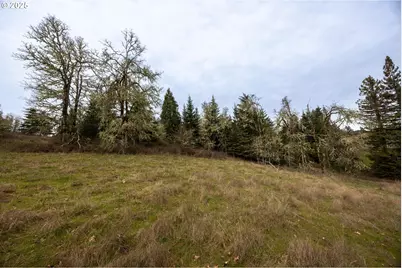 Kenady Lane Lot 401, Cottage Grove, OR 97424 - Photo 41