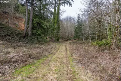 Kenady Lane Lot 401, Cottage Grove, OR 97424 - Photo 15