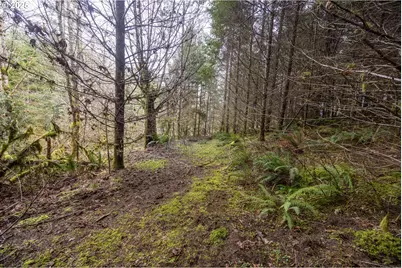 Kenady Lane Lot 401, Cottage Grove, OR 97424 - Photo 35