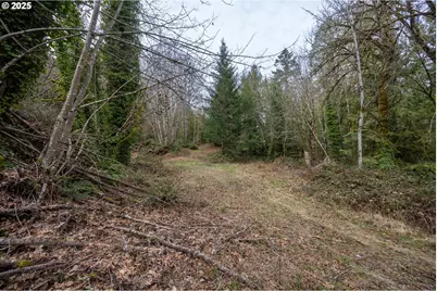 Kenady Lane Lot 401, Cottage Grove, OR 97424 - Photo 17