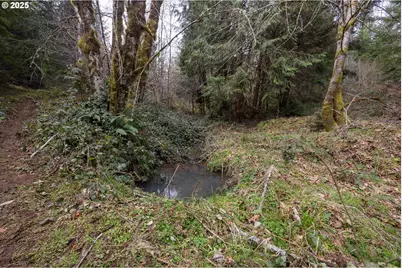 Kenady Lane Lot 401, Cottage Grove, OR 97424 - Photo 25