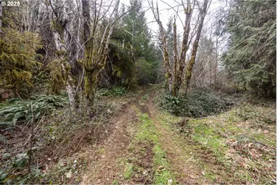 Kenady Lane Lot 401, Cottage Grove, OR 97424 - Photo 27