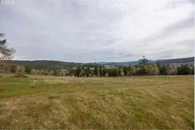 Kenady Lane Lot 401, Cottage Grove, OR 97424 - Photo 9