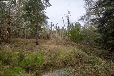 Kenady Lane Lot 401, Cottage Grove, OR 97424 - Photo 33
