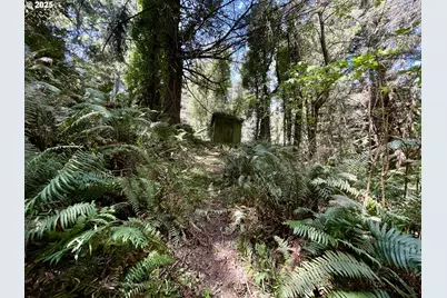 95629 Cape Ferrelo Rd, Brookings, OR 97415 - Photo 9