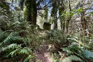 95629 Cape Ferrelo Rd, Brookings, OR 97415 - Photo 9