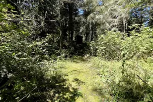 95629 Cape Ferrelo Rd, Brookings, OR 97415 - Photo 7