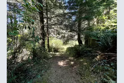 95629 Cape Ferrelo Rd, Brookings, OR 97415 - Photo 5