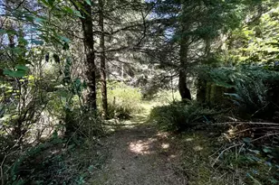 95629 Cape Ferrelo Rd, Brookings, OR 97415 - Photo 5