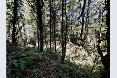 95629 Cape Ferrelo Rd, Brookings, OR 97415 - Photo 13