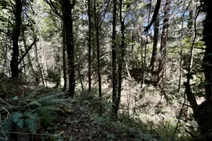 95629 Cape Ferrelo Rd, Brookings, OR 97415 - Photo 13