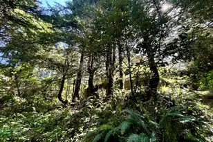 95629 Cape Ferrelo Rd, Brookings, OR 97415 - Photo 45