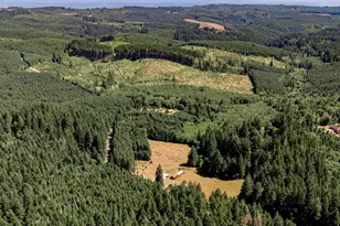 25420 NW Pumpkin Ridge Rd, North Plains, OR 97133 - Photo 45