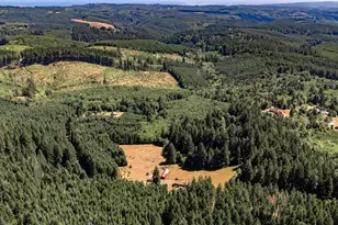 25420 NW Pumpkin Ridge Rd, North Plains, OR 97133 - Photo 43