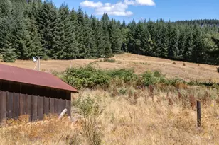 25420 NW Pumpkin Ridge Rd, North Plains, OR 97133 - Photo 35