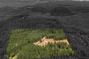 25420 NW Pumpkin Ridge Rd, North Plains, OR 97133 - Photo 3