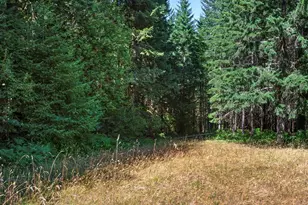 25420 NW Pumpkin Ridge Rd, North Plains, OR 97133 - Photo 17