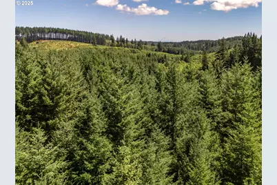 25420 NW Pumpkin Ridge Rd, North Plains, OR 97133 - Photo 33