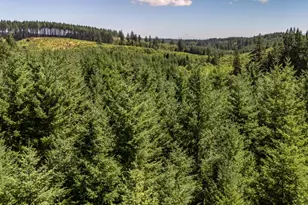 25420 NW Pumpkin Ridge Rd, North Plains, OR 97133 - Photo 33