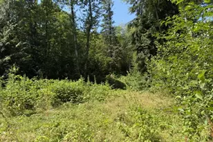 38266 E Knieriem Rd, Corbett, OR 97019 - Photo 29