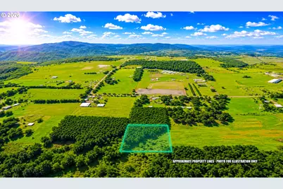 14377 S Union Hall Rd #B, Mulino, OR 97042 - Photo 5