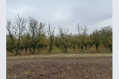 4797 St Paul Hwy NE, Saint Paul, OR 97137 - Photo 27