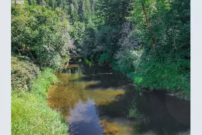 90450 Deadwood Creek Rd, Deadwood, OR 97430 - Photo 7