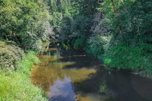 90450 Deadwood Creek Rd, Deadwood, OR 97430 - Photo 7