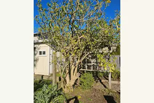 237 Wharf St, Brookings, OR 97415 - Photo 17