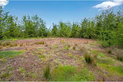 5 Parpala Rd #5, Naselle, WA 98638 - Photo 5