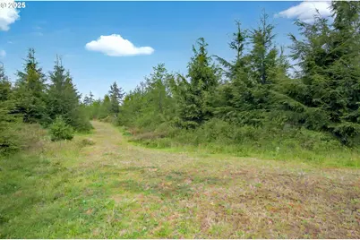 5 Parpala Rd #5, Naselle, WA 98638 - Photo 13