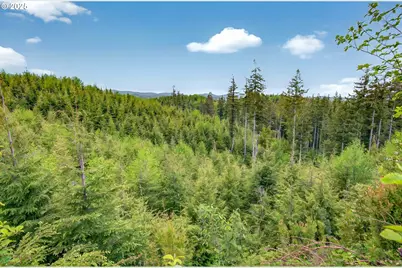 5 Parpala Rd #5, Naselle, WA 98638 - Photo 17