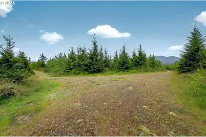 5 Parpala Rd #5, Naselle, WA 98638 - Photo 1