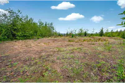 5 Parpala Rd #5, Naselle, WA 98638 - Photo 7