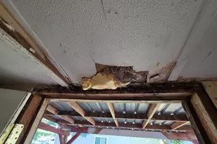 440 Division Ave, Drain, OR 97435 - Photo 15